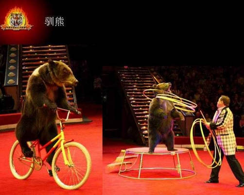 湖北廟會演出價格