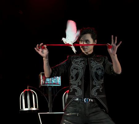 廣東景區演出價格