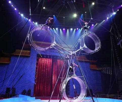 河南馬戲表演價格