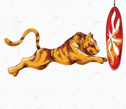 河南馬戲表演哪家好