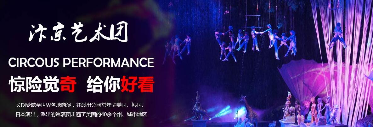 河南馬戲表演價(jià)格