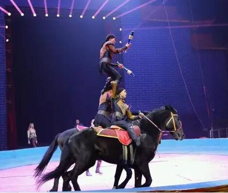 你知道馬戲雜技表演都有哪些節目么？