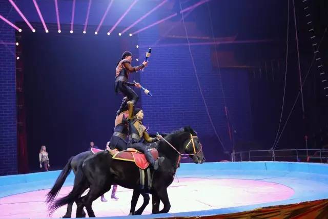 必看！河南馬戲表演震撼來襲，一場光影與勇氣的歡樂盛宴